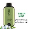 RELX MAGICGO – FRESH MINT – 8000 PUFFS import placeholder for 5436