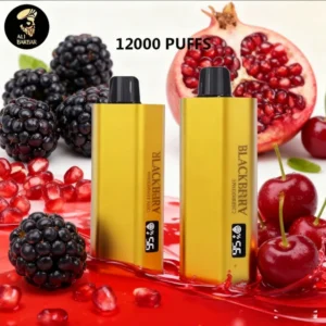 alibarbar teq 12000 puffs 20 packs(ship from overseas)