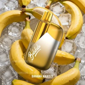 import placeholder for 4868