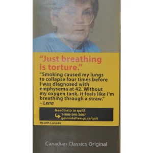 import placeholder for 386