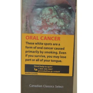 import placeholder for 384