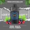 IGET One 12000 Puffs Black Forest import placeholder for 1509