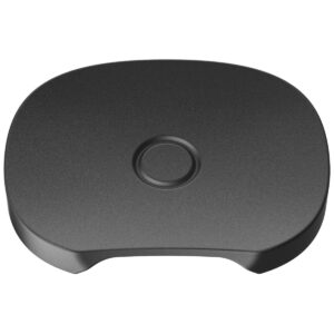 pax flow flat mouthpiece 2 pack