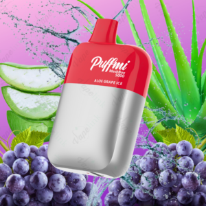 puffmi meshbox 5000 rechargeable disposable vape