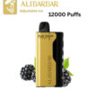 ALIBARBAR ICE ADJUST – BLACKBERRY – 12000 PUFFS import placeholder for 19731