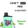 IGET BAR PRO – DYNAMIC MINT – 10 000 PUFFS import placeholder for 21435