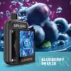 ALIBARBAR UPLOAD – BLUEBERRY BREEZE – 25000 PUFFS import placeholder for 9372