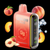 Geek Bar Pulse 9000 Disposable Vape - Peach Nectarine Ice import placeholder for 7979603492927