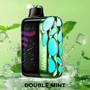 linvo rave 60k disposable vape double mint