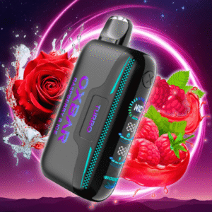 oxbar g42k disposable vape raspberry r ice
